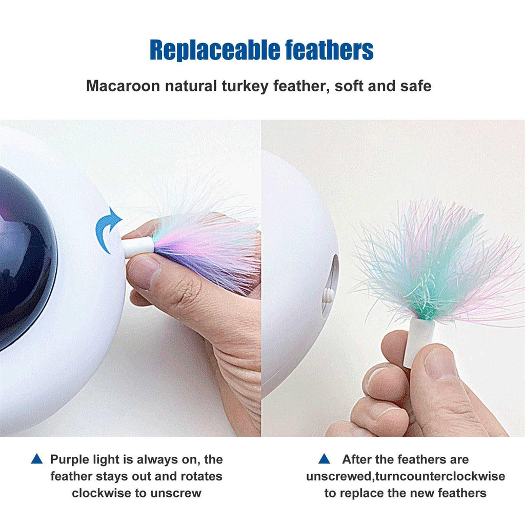 Interactive Cat Toy H557619