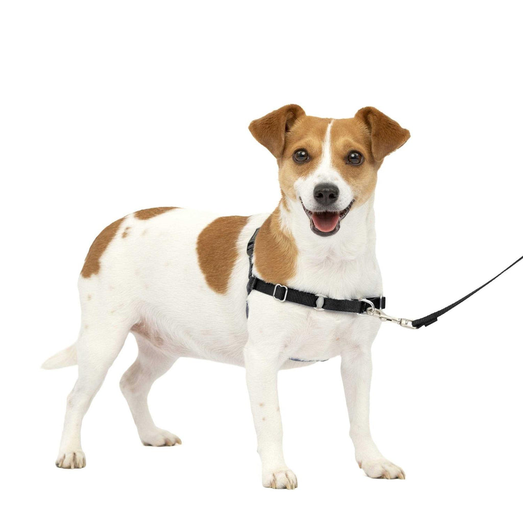 Dog Harness G1812
