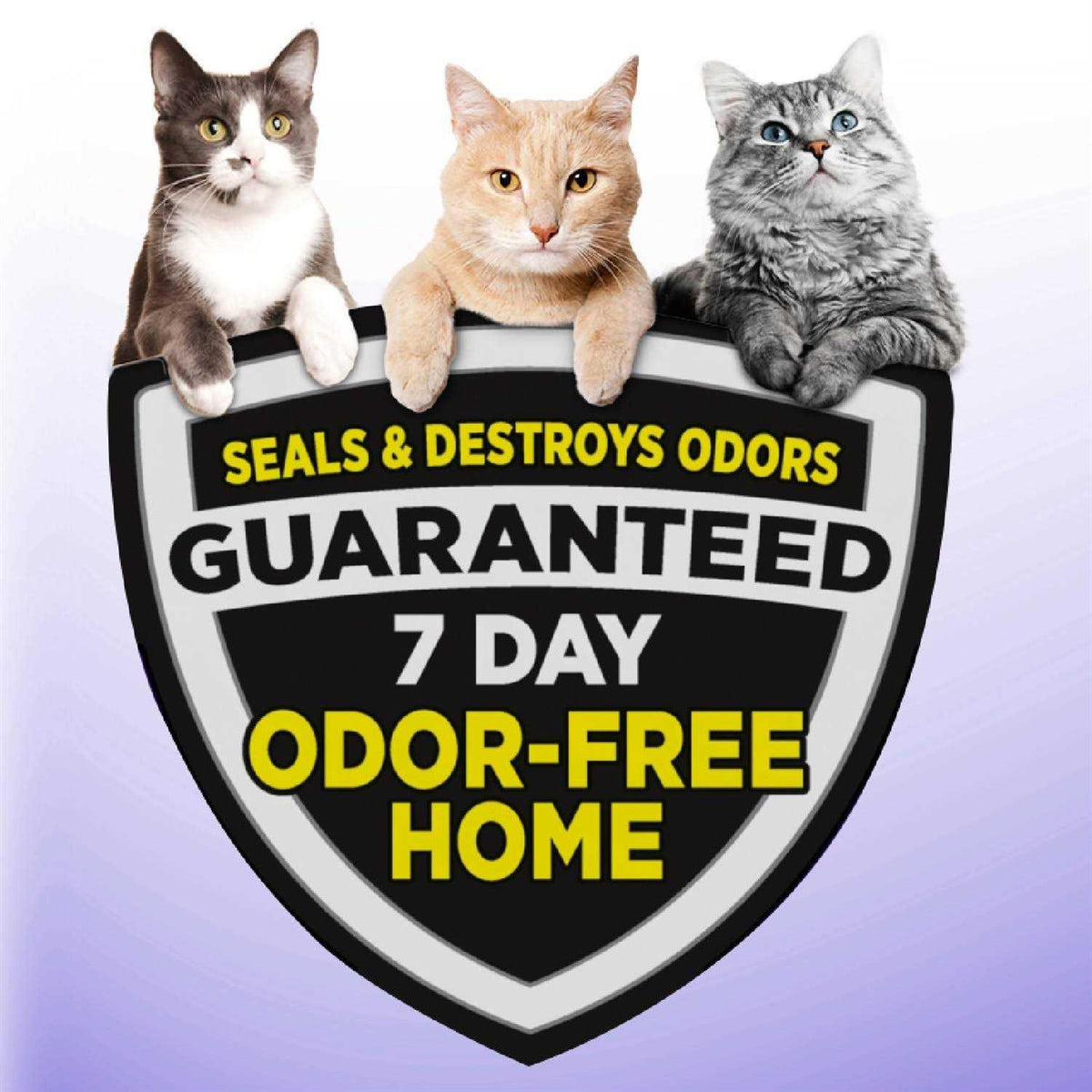 Multi-Cat Clumping Litter D1279