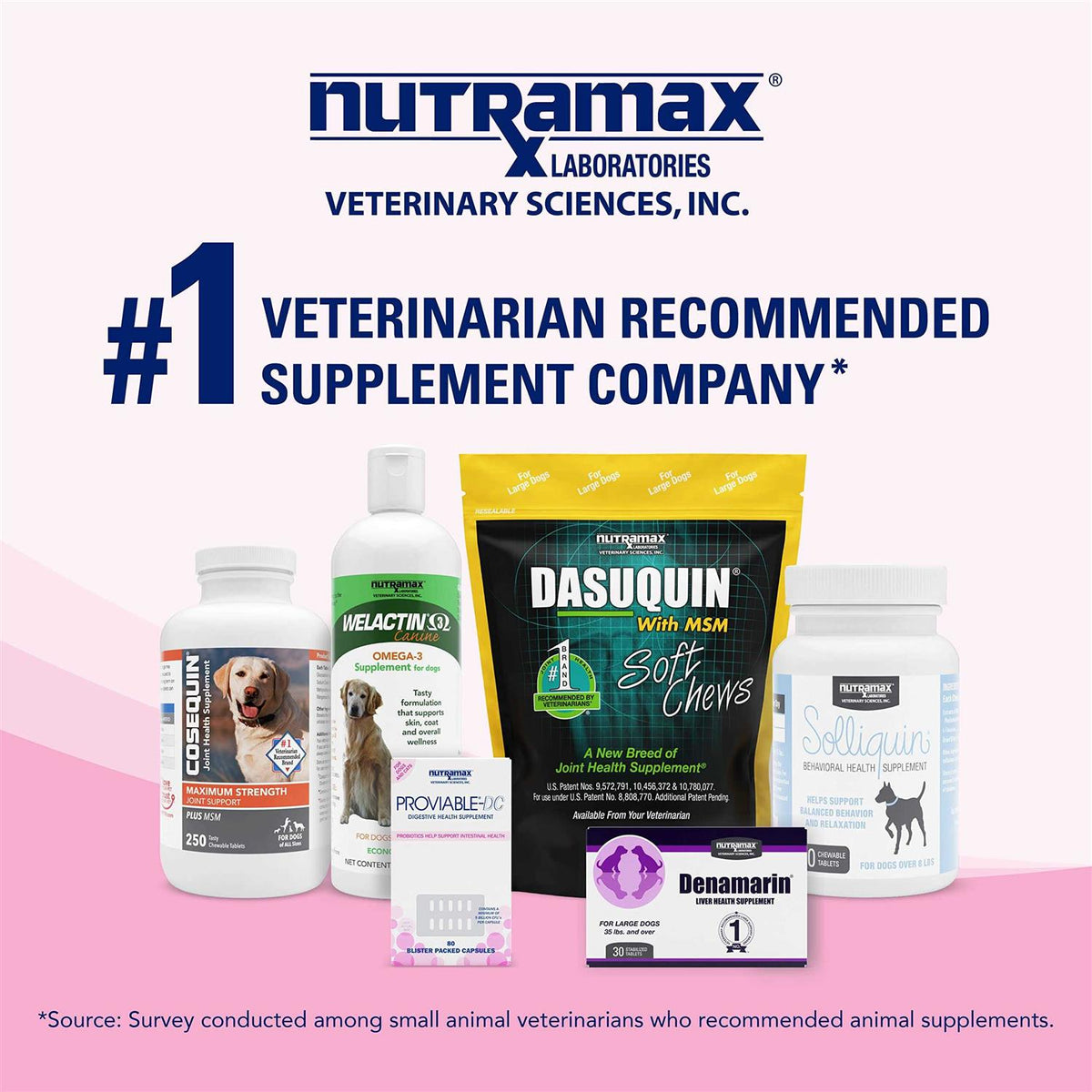 Health Supplement Kit Dogs O61182