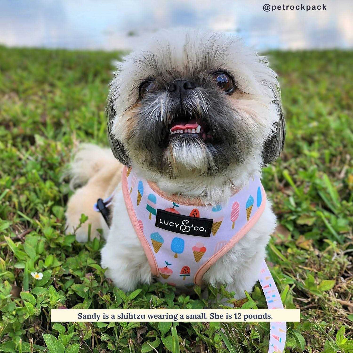 Reversible Harness W717