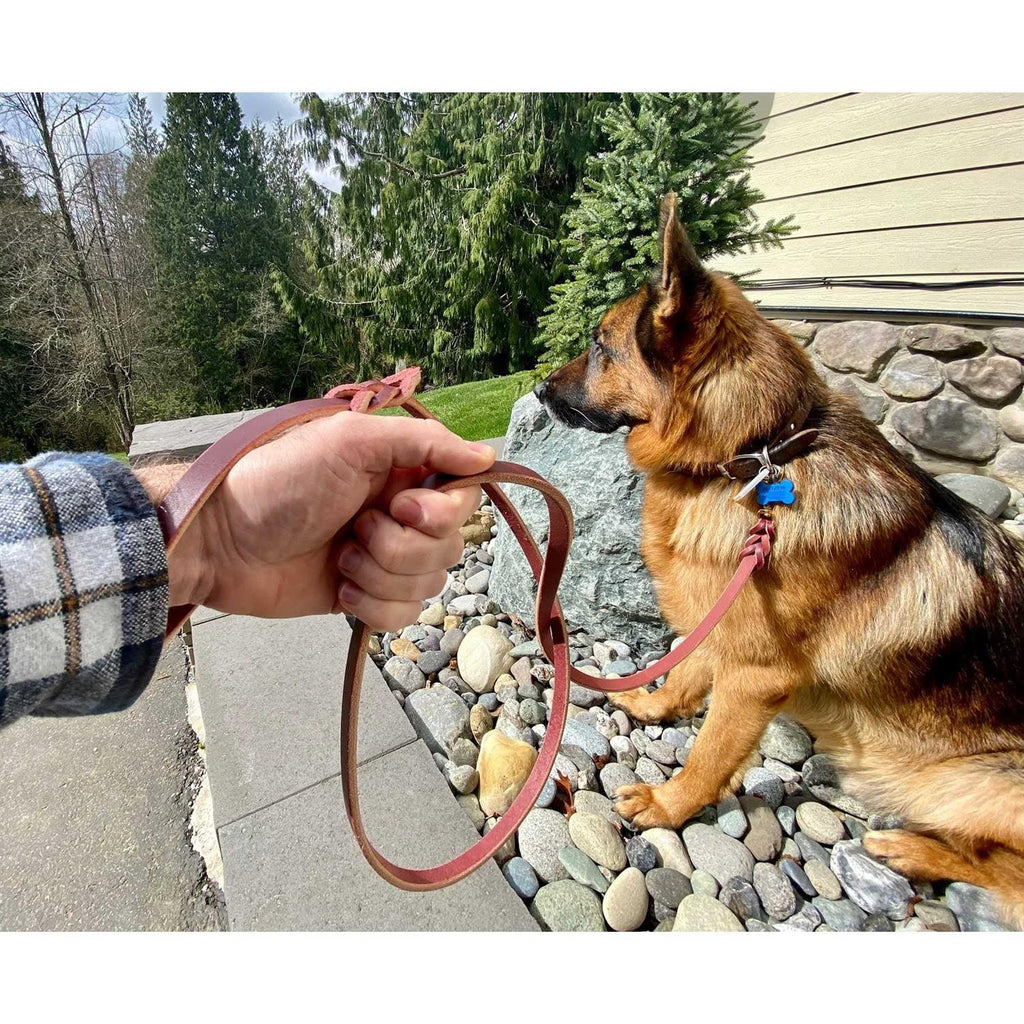 6 FT Braided Leather Dog Leash K599449