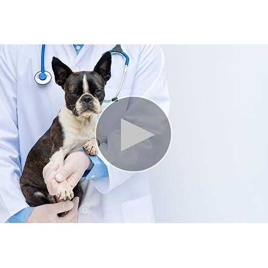 Adrenal Harmony Gold for Dogs M3348