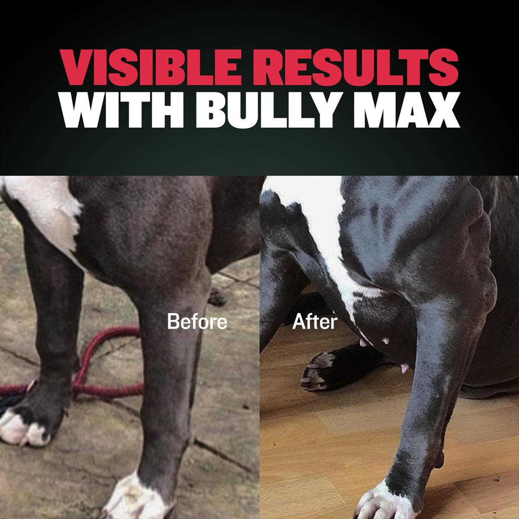 Weight Gainer Supplement for Dogs Q4868
