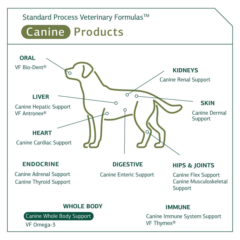 Canine Whole Body Support P533