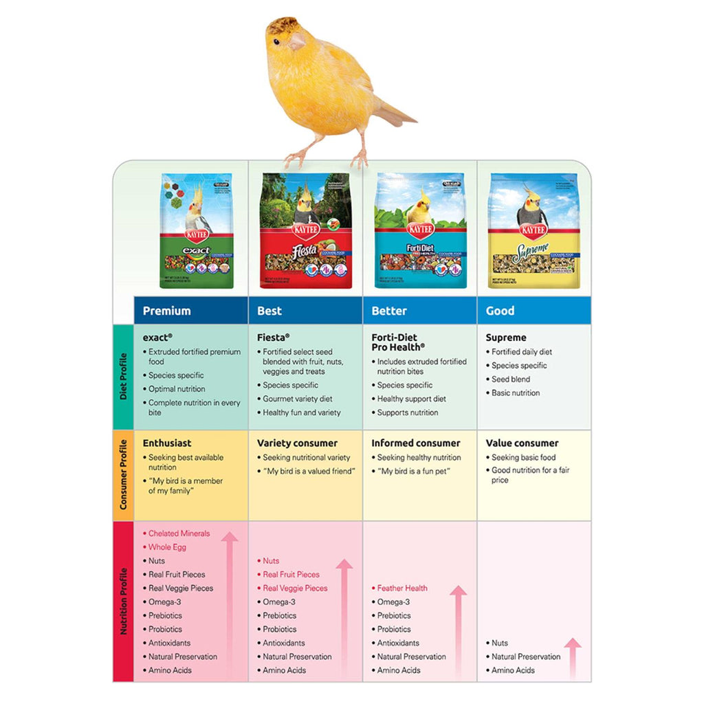 Rainbow Chunky Parrot Food H3358