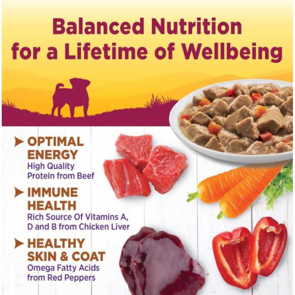 Chicken Dog Food V299