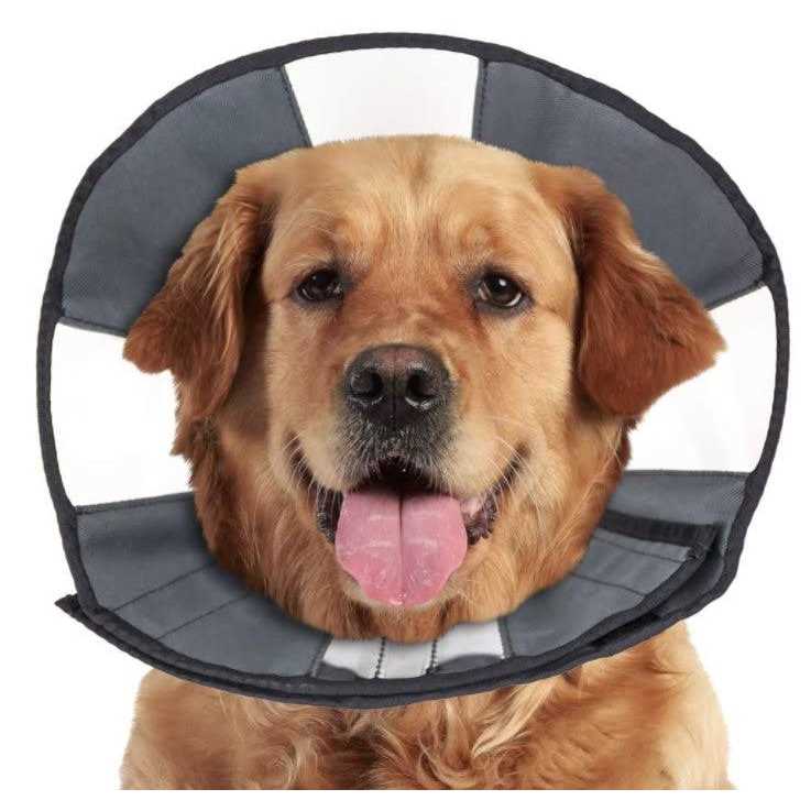 Soft Recovery Collar J5865