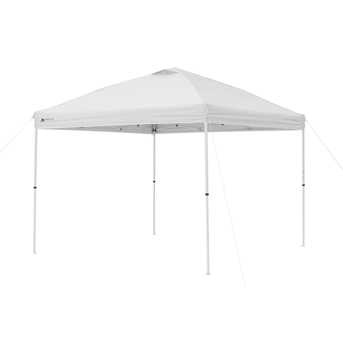 10' x 10' Straight Leg Canopy C87710