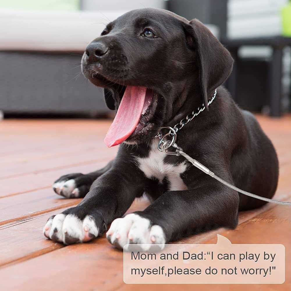 Reflective Dog Tie Out Cable H9100