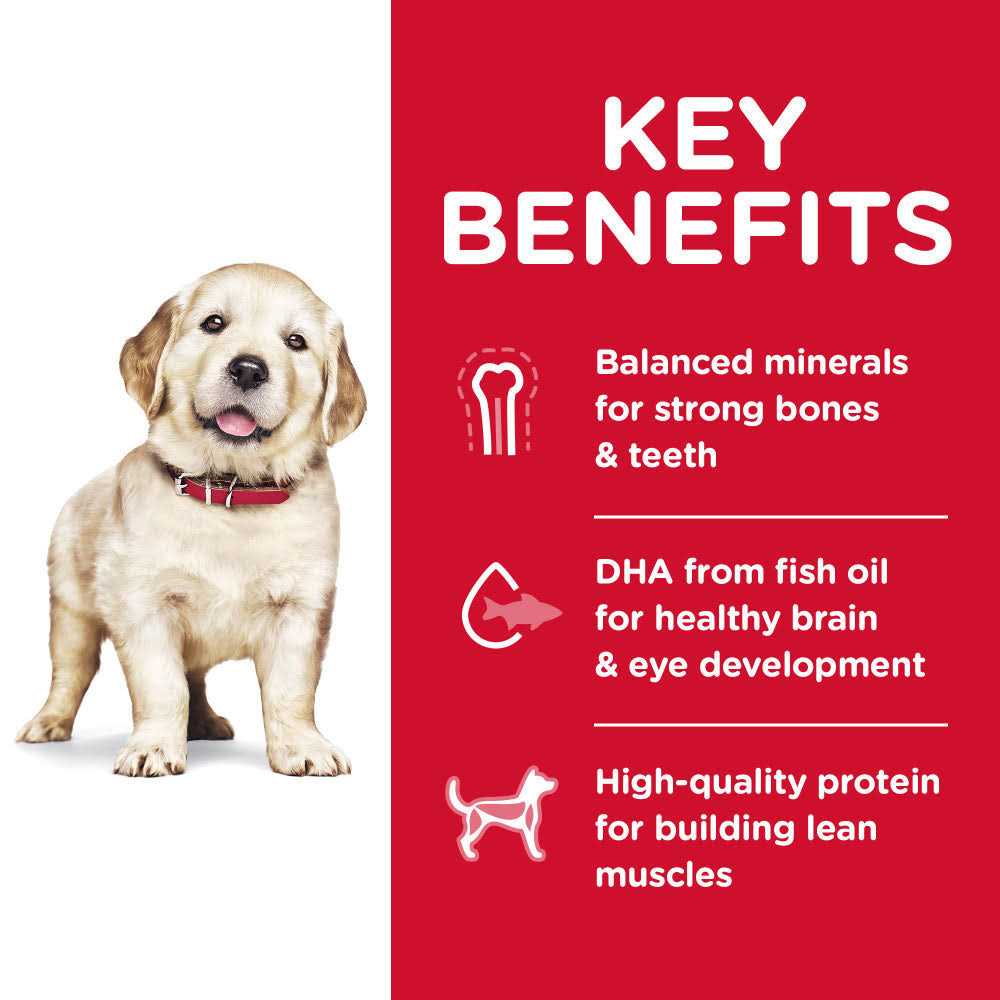 Dry Dog Food Q660194