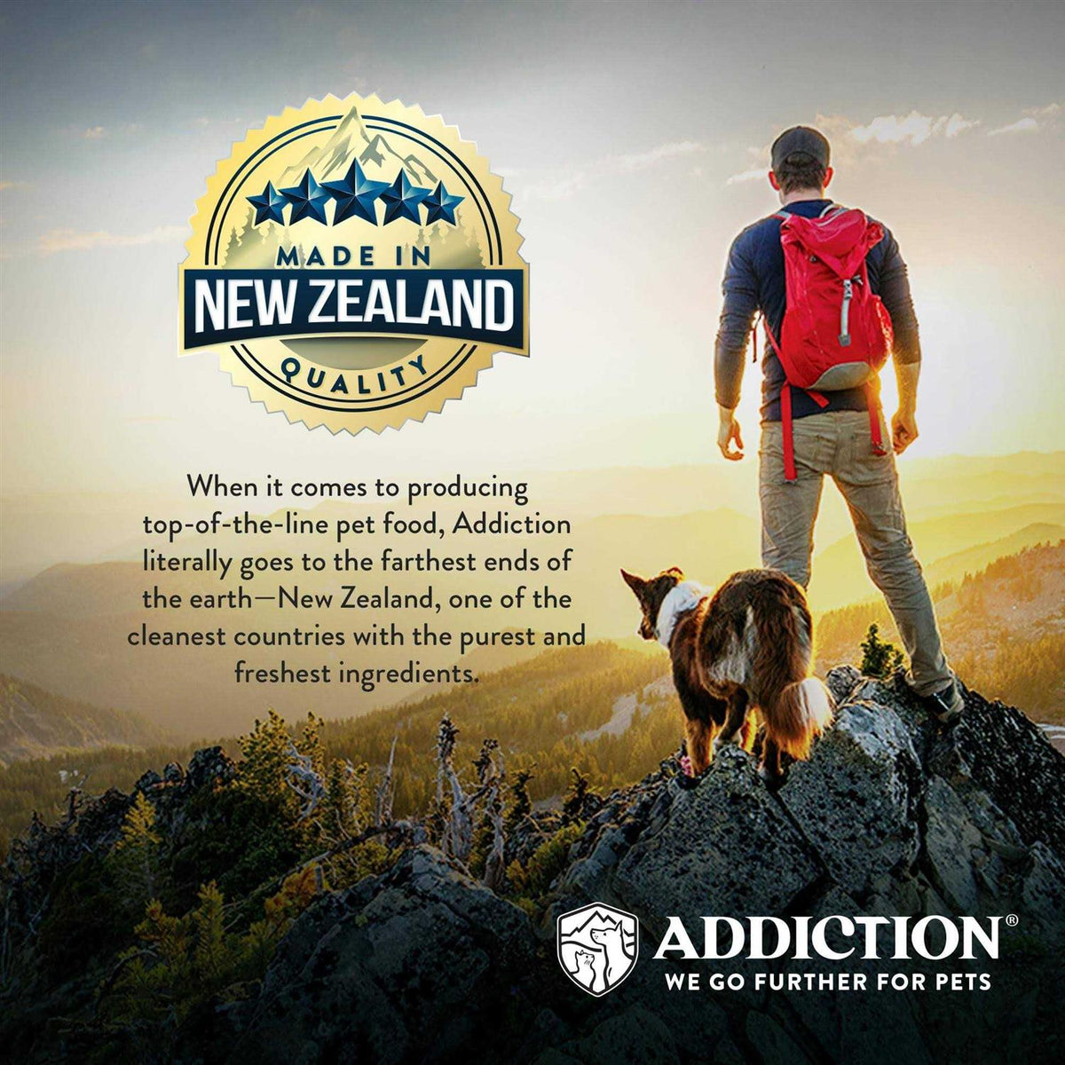 Vegetarian Dry Dog Food Z61688