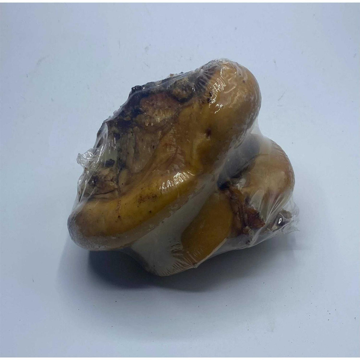 Beef Knuckle End Bone X25566