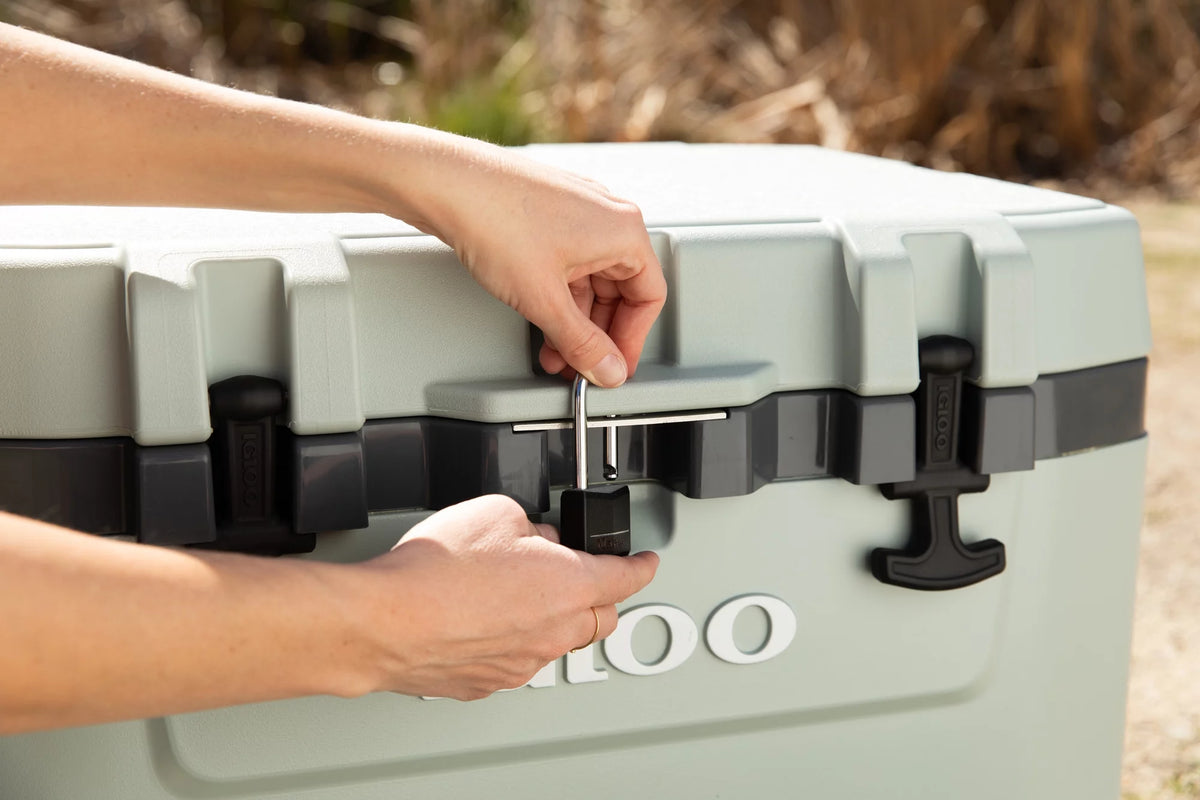 52 QT Wheeled Ice Chest Cooler D603806