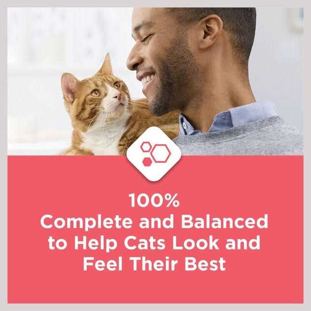 Salmon High Protein Dry Cat Food C765