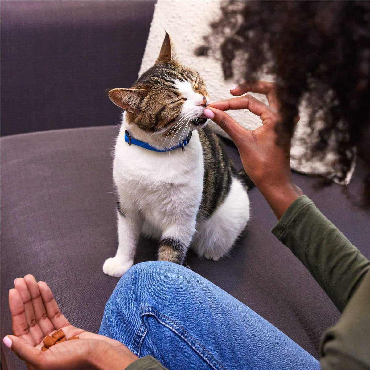 Crunchy Cat Treats E86394