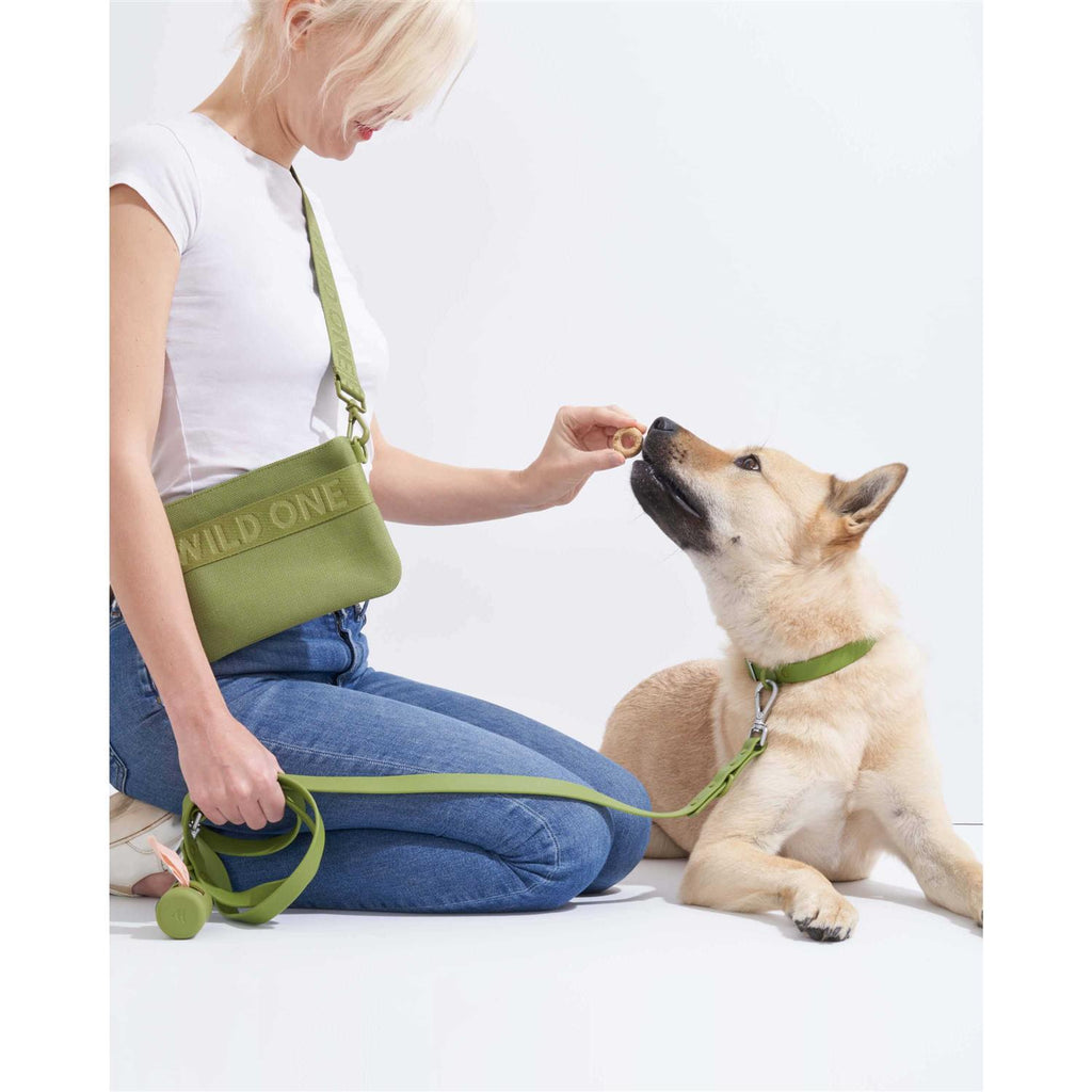 Dog Leash U227