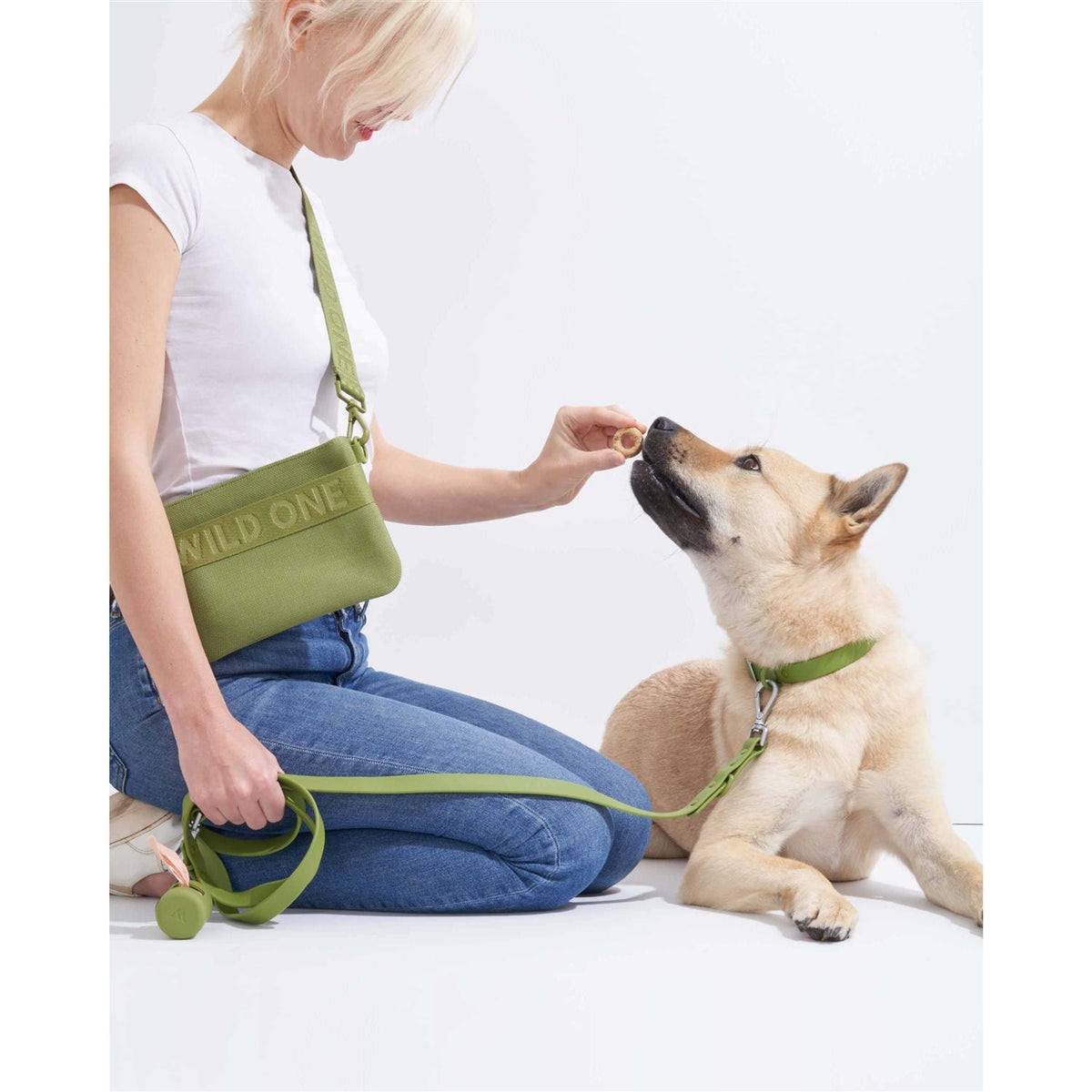 Dog Leash U227