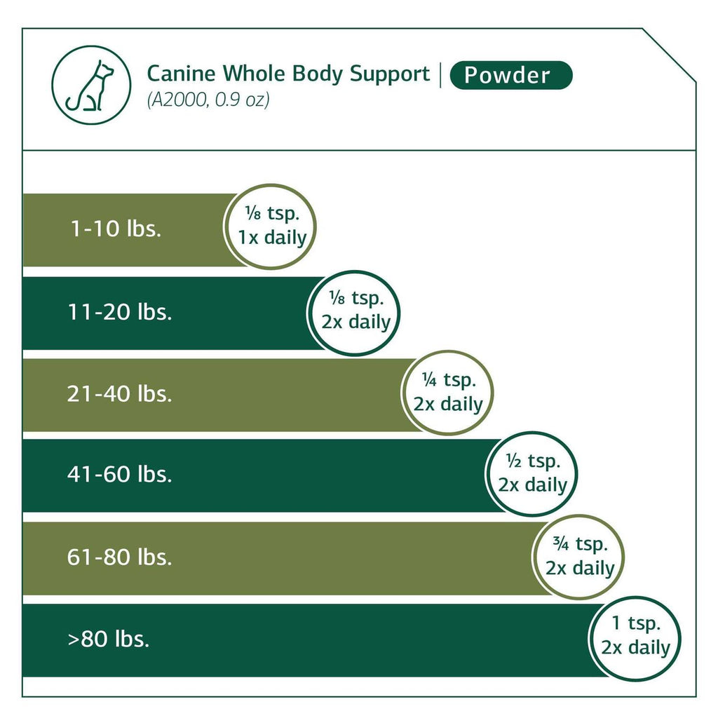 Canine Whole Body Support P533