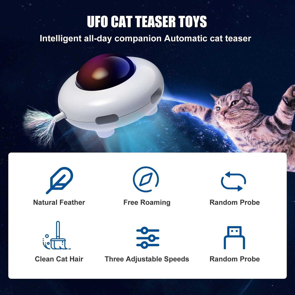 Interactive Cat Toy H557619
