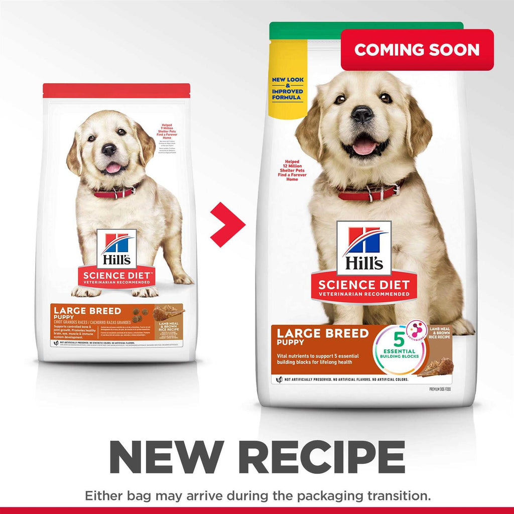 Dry Dog Food Q660194