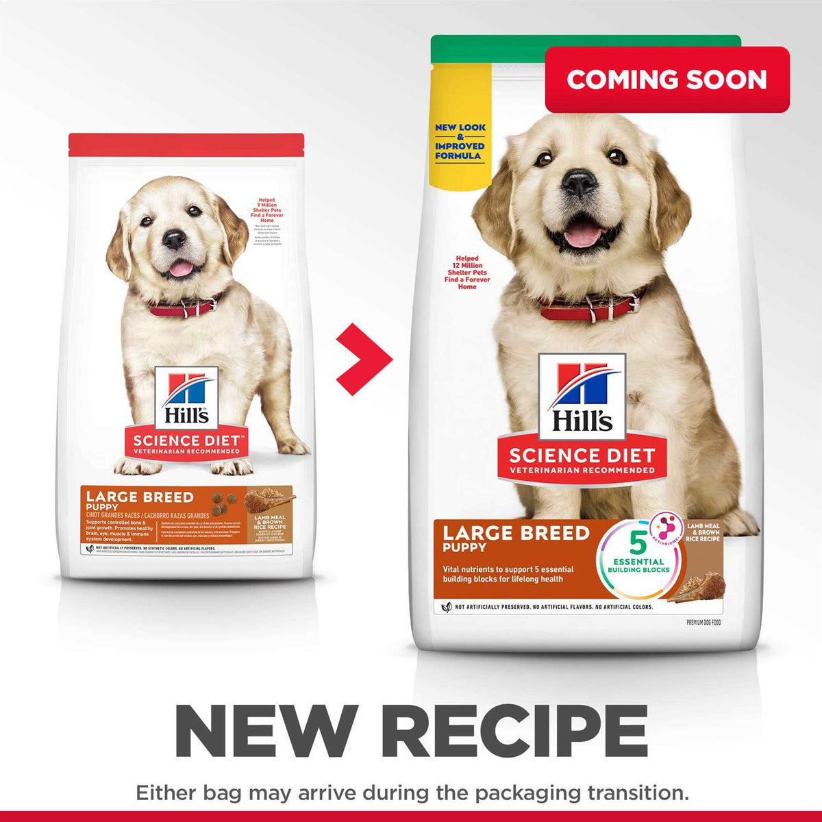 Dry Dog Food Q660194