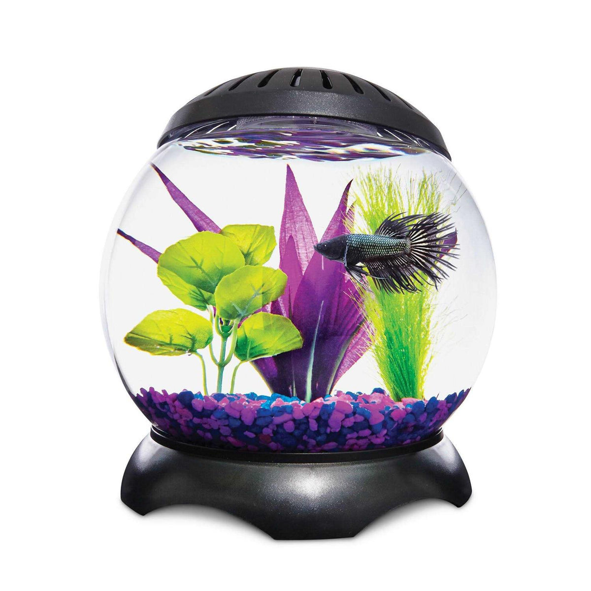 1.3 Gallon Tank E5771