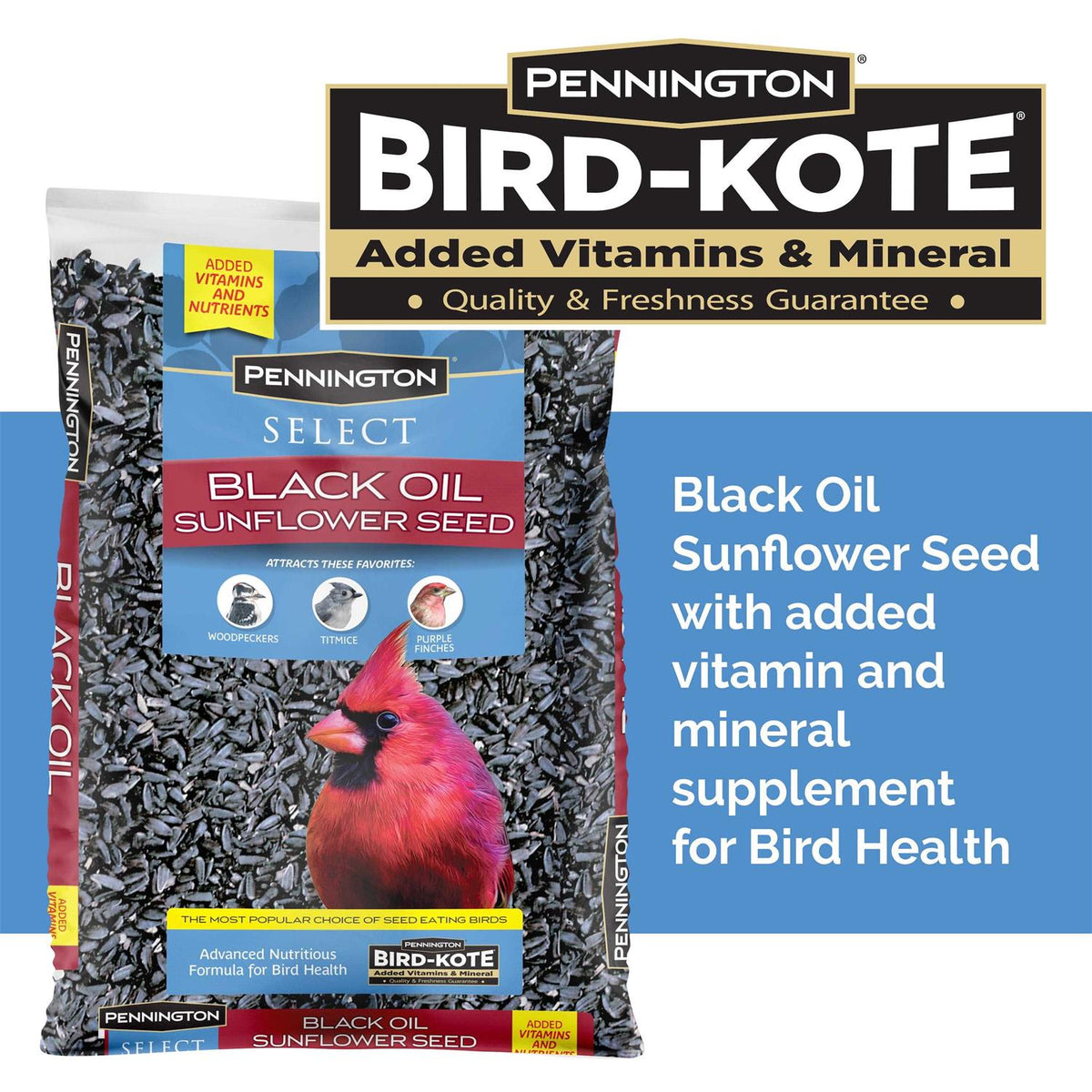 Black Oil Sunflower Seed Wild Bird Feed U3709
