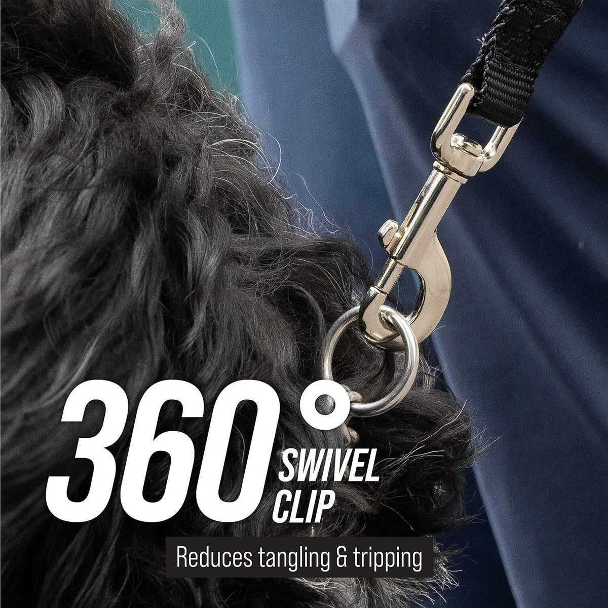 Dog Leash K883