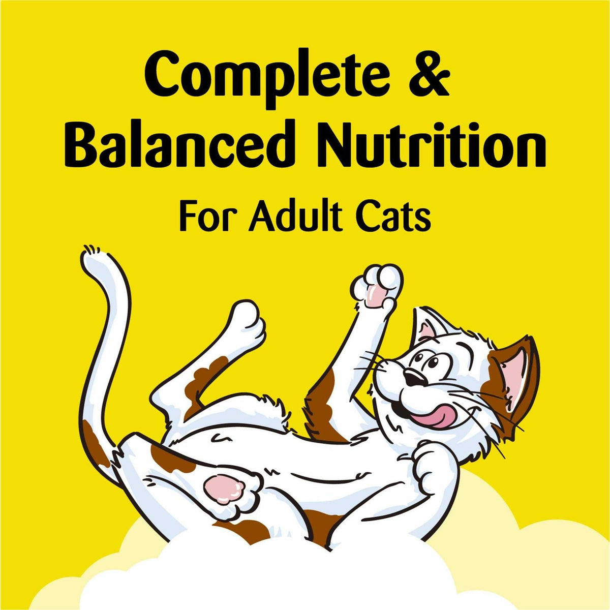 Crunchy Cat Treats E86394