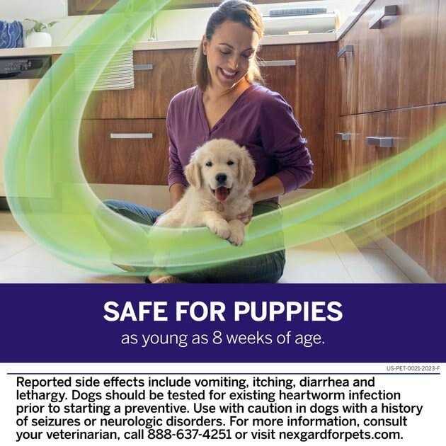 Chew for Dogs N3865