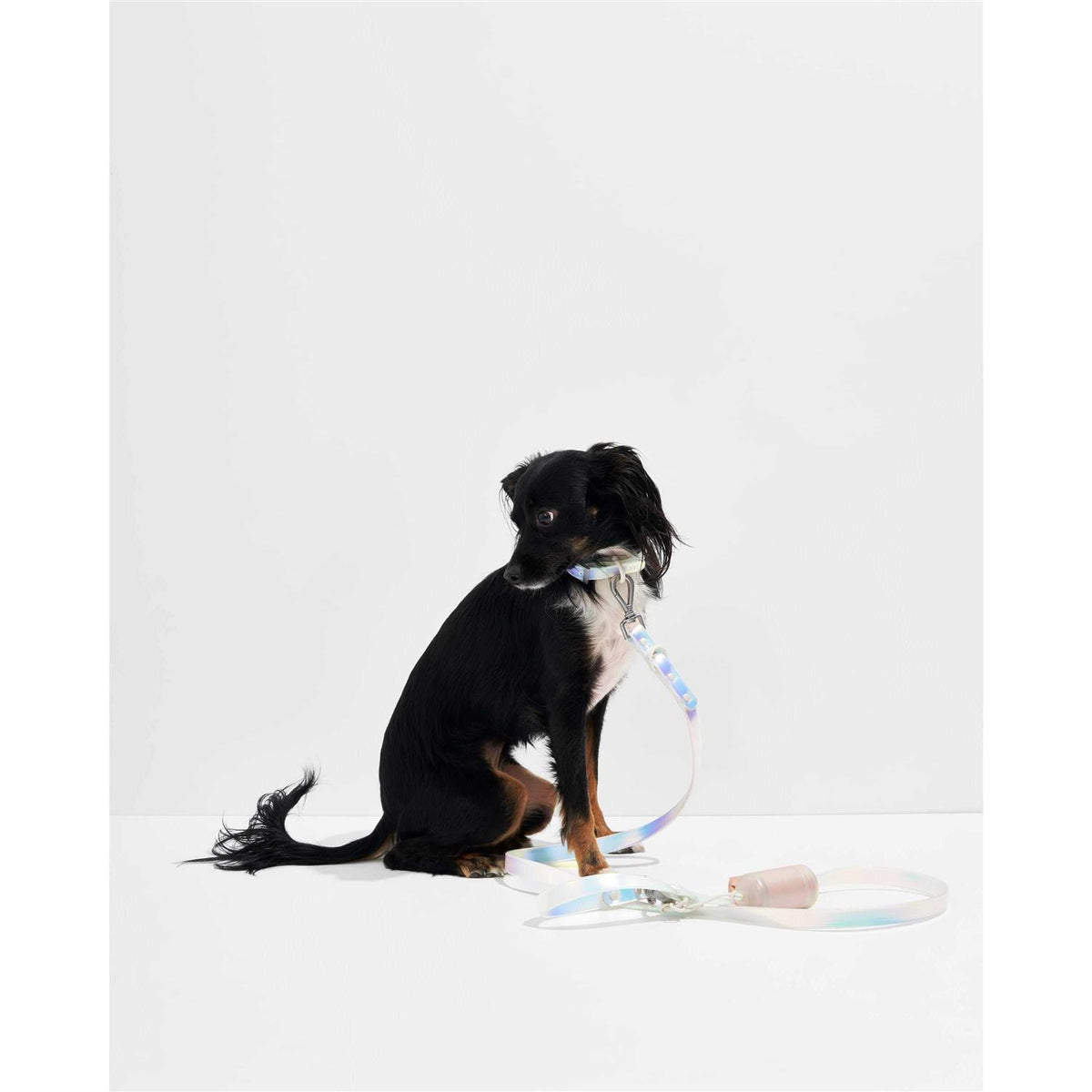 Dog Leash U227