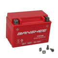 250cca Sealed AGM Replacement Battery S536