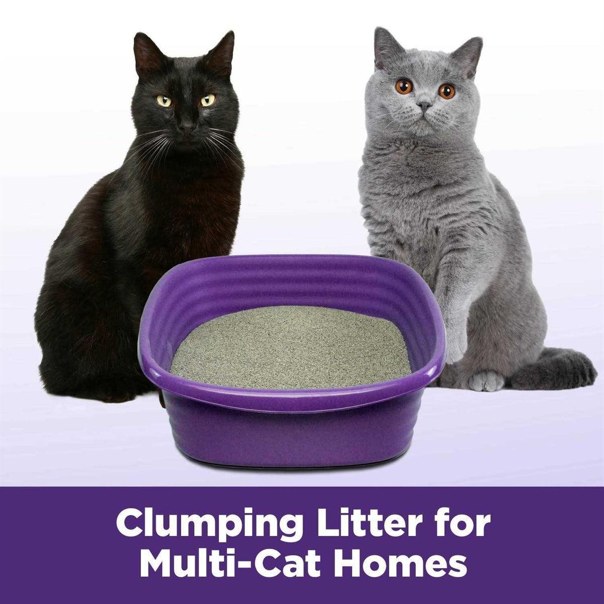 Multi-Cat Clumping Litter D1279
