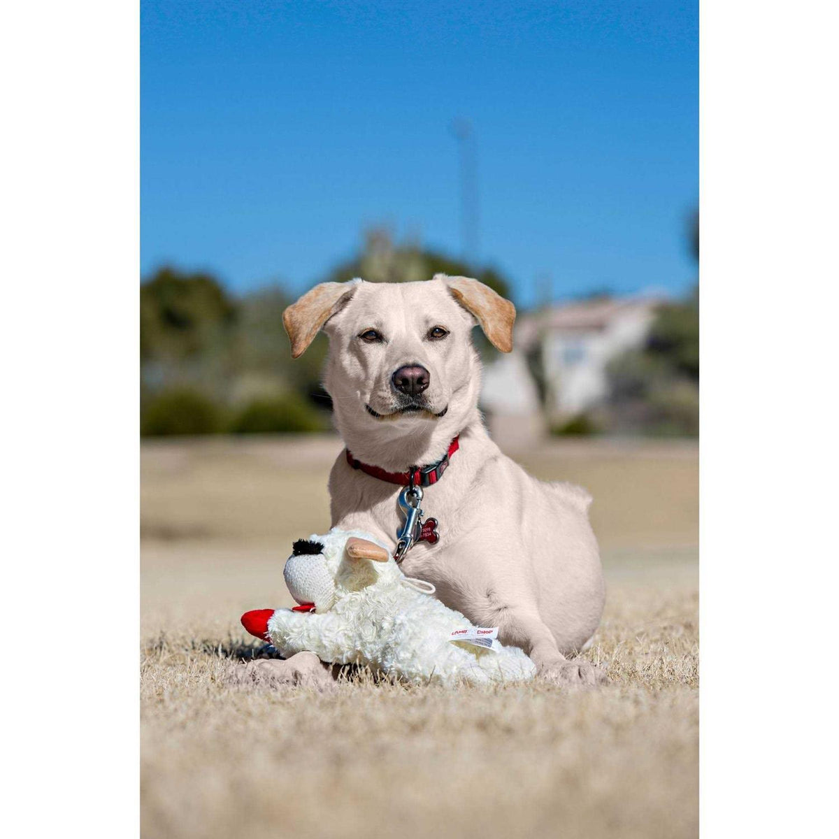 Lamb Chop Dog Toy N888978