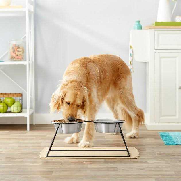 Elevated Dog & Cat Diner M1082