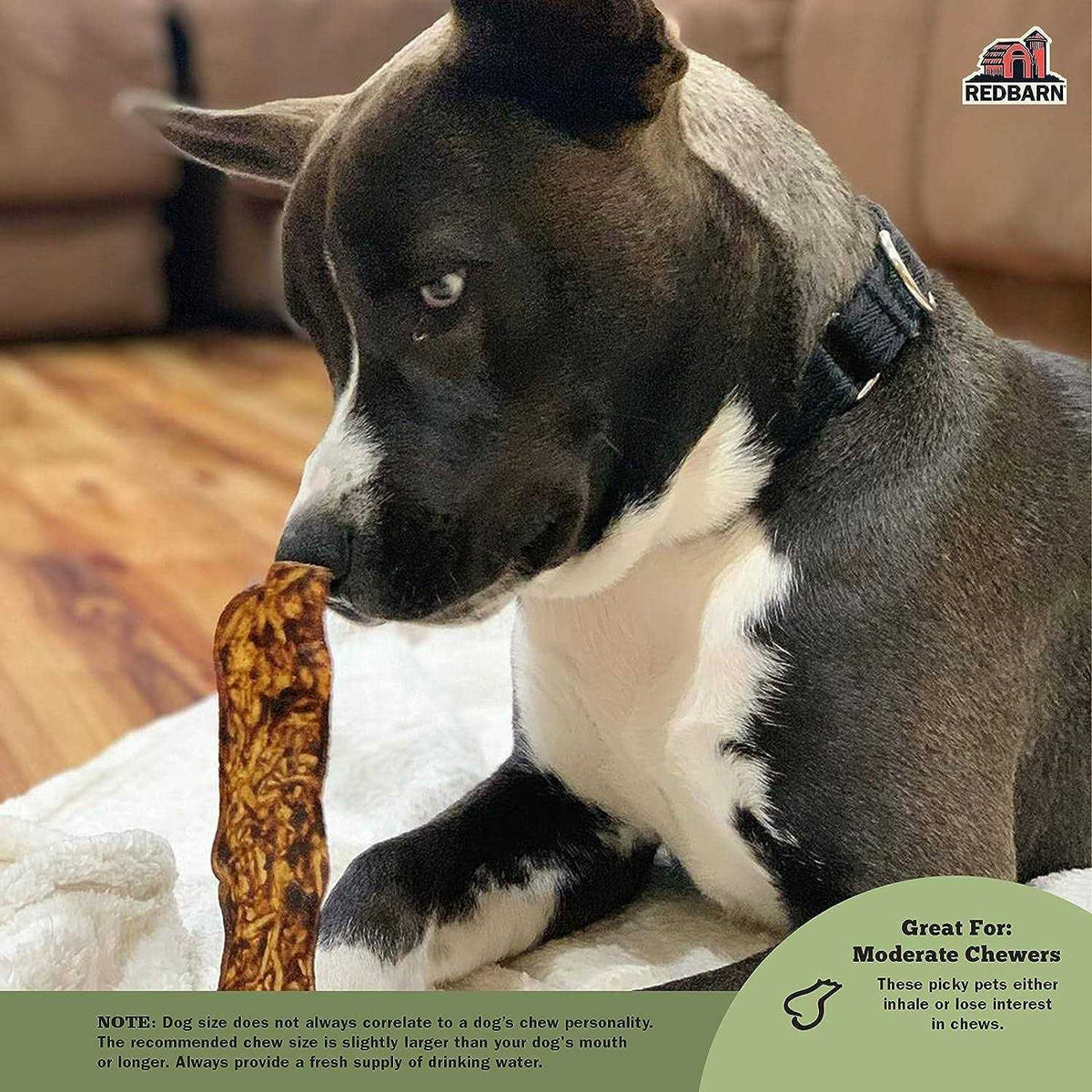 Bully Slices Dog O5677