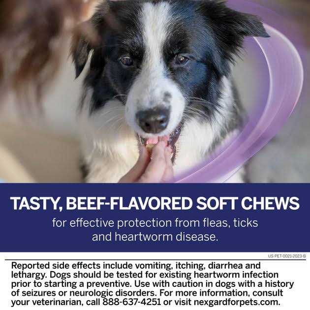 Chew for Dogs N3865