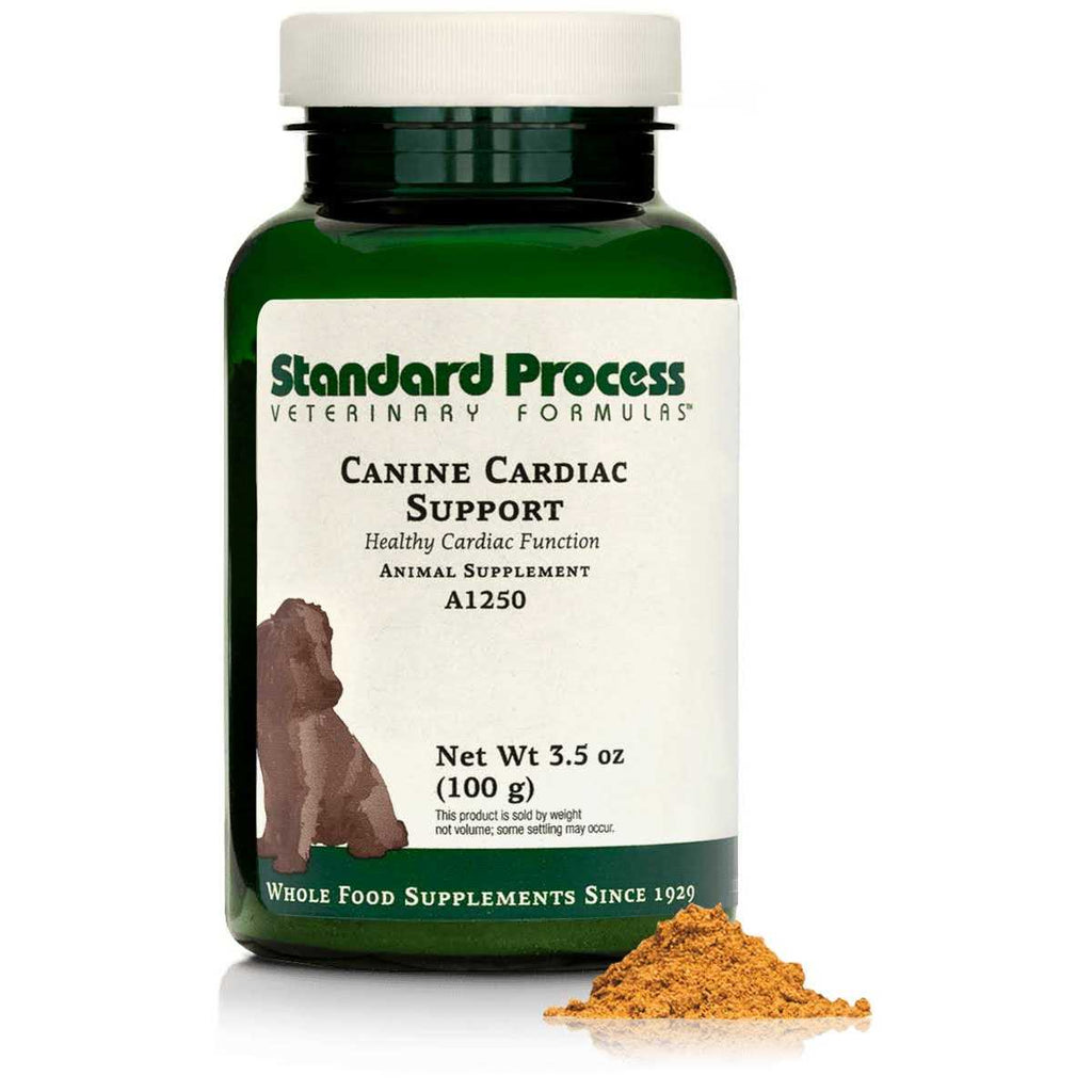 Canine Whole Body Support P533