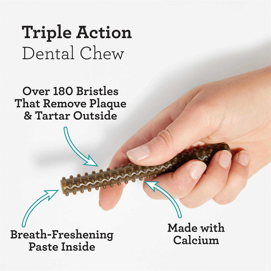 Dental Sticks N8324