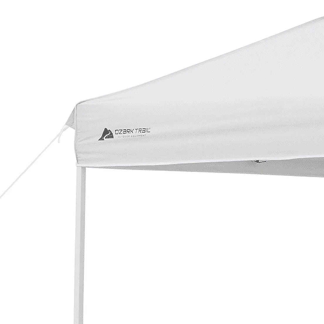 10' x 10' Straight Leg Canopy C87710