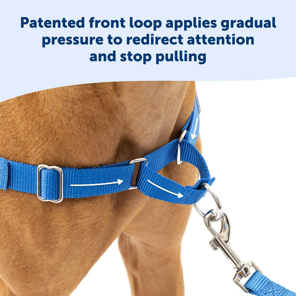 Dog Harness G1812